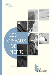 Produktbild: Oiseaux de pierre