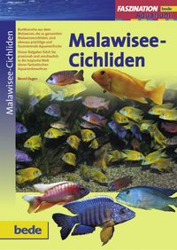 Bild vom Artikel Faszination Malawisee-Cichliden vom Autor Bernd Degen