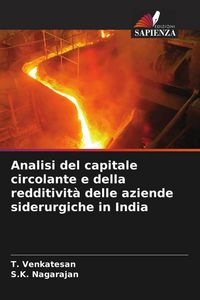 Produktbild: Analisi del capitale circolante e della redditivit&agrave; delle aziende siderurgiche in India