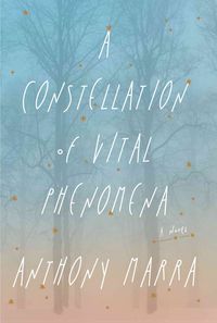 Produktbild: Constellation Of Vital Phenome