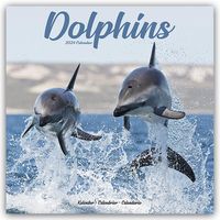 Bild vom Artikel Dolphins – Delfine – Delphine 2024 – 16-Monatskalender vom Autor Avonside Publishing Ltd