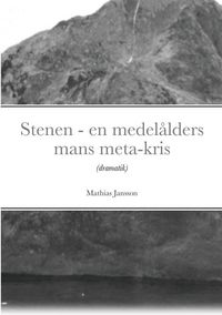 Produktbild: Stenen - en medel&aring;lders mans meta-kris