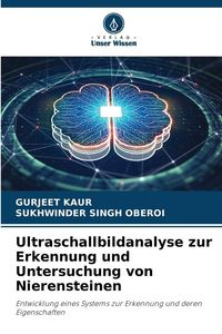 Produktbild: Ultraschallbildanalyse zur Erkennung und Untersuchung von Nierensteinen