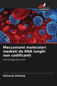 Produktbild: Meccanismi molecolari mediati da RNA lunghi non codificanti