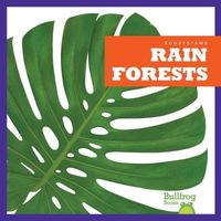 Produktbild: Rain Forests