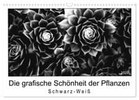 Produktbild: Die grafische Sch&ouml;nheit der Pflanzen &ndash; Schwarz-Wei&szlig; (Wandkalender 2027 DIN A3 quer), CALVENDO Monatskalender