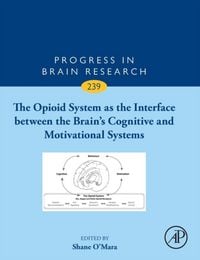 Produktbild: The Opioid System as the Interface between the Brain's Cognitive and Motivational Systems