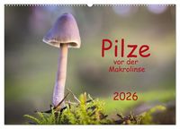 Produktbild: Pilze vor der Makrolinse 2026 (Wandkalender 2026 DIN A2 quer), CALVENDO Monatskalender