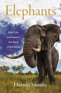 Produktbild: Elephants