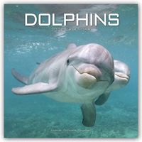 Bild vom Artikel Dolphins - Delfine - Delphine 2022 - 16-Monatskalender vom Autor Avonside Publishing Ltd