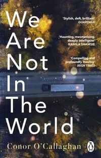 Produktbild: We Are Not in the World