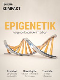 Produktbild: Spektrum Kompakt - Epigenetik 2