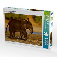 Produktbild: CALVENDO Puzzle Junger Elefant in Botswana | 1000 Teile Lege-Gr&ouml;&szlig;e 64x48cm Foto-Puzzle f&uuml;r gl&uuml;ckliche Stunden
