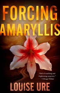 Produktbild: Forcing Amaryllis
