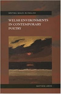 Produktbild: Welsh Environments in Contemporary Poetry