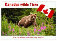 Produktbild: Kanadas Wilde Tiere (Wandkalender 2026 DIN A2 quer), CALVENDO Monatskalender