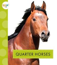 Produktbild: Quarter Horses