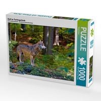 Produktbild: CALVENDO Puzzle Wolf im Tierfreigel&auml;nde | 1000 Teile Lege-Gr&ouml;&szlig;e 64x48cm Foto-Puzzle f&uuml;r gl&uuml;ckliche Stunden