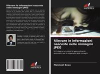 Produktbild: Rilevare le informazioni nascoste nelle immagini JPEG