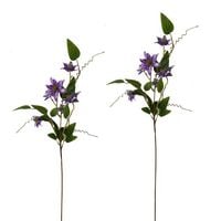 Produktbild: NTK-Collection Clematis Lila 2er Set 89 cm Clematis Lila 2er Set 89 cm