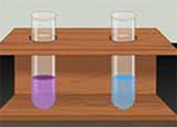 Produktbild: General Tests of Proteins and Precipitation Reactions