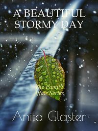 Produktbild: A Beautiful Stormy Day