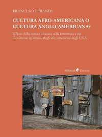 Produktbild: Cultura Afro-americana o cultura anglo-americana?