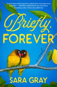 Produktbild: Briefly, Forever