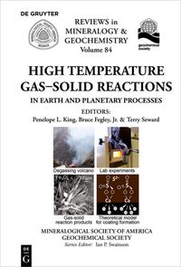 Produktbild: High Temperature Gas-Solid Reactions in Earth and Planetary Processes