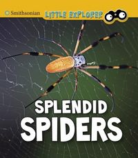 Produktbild: Splendid Spiders