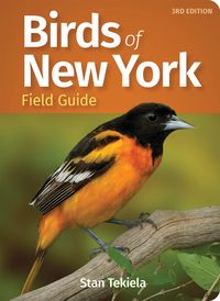Produktbild: Birds of New York Field Guide