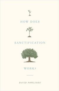 Produktbild: How Does Sanctification Work?
