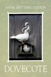 Produktbild: Dovecote