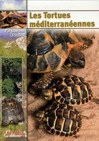 Produktbild: Tortues mediterraneennes