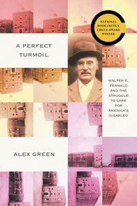 Produktbild: A Perfect Turmoil