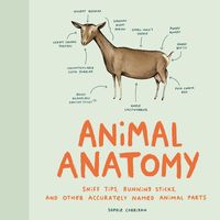 Bild vom Artikel Animal Anatomy vom Autor Sophie Corrigan