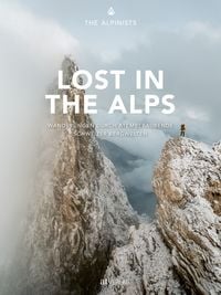 Bild vom Artikel Lost in the Alps vom Autor Nicola Bonderer