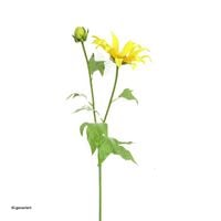 Produktbild: HTI-Living Produkt 38823 Artikel 50175