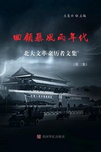 Produktbild: 回顾暴风雨年代