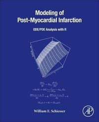 Produktbild: Modeling of Post-Myocardial Infarction