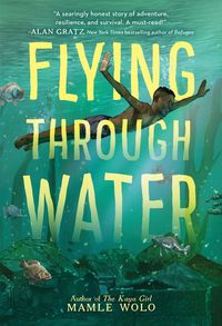 Produktbild: Flying Through Water