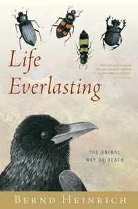 Produktbild: Life Everlasting