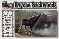 Produktbild: Brechlin, E: Bygone Backwoods