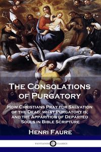 Produktbild: The Consolations of Purgatory