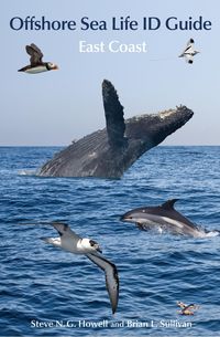 Produktbild: Offshore Sea Life ID Guide