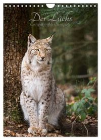 Produktbild: Der Luchs - Europas gr&ouml;&szlig;te Samtpfote (Wandkalender 2027 DIN A4 hoch), CALVENDO Monatskalender