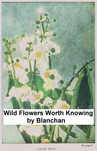 Produktbild: Wild Flowers Worth Knowing