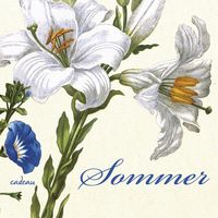 Produktbild: Sommer