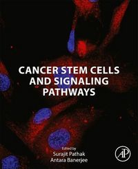 Produktbild: Cancer Stem Cells and Signaling Pathways