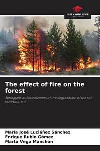 Produktbild: The effect of fire on the forest